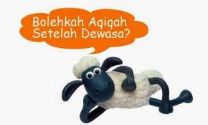 hukum-mengaqiqahkan-diri-sendiri-dan-orang-tua