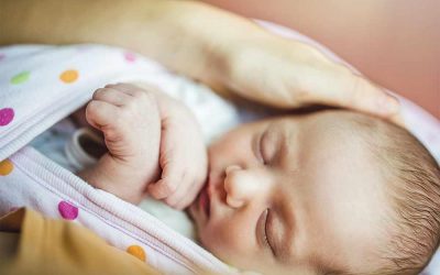 Perbedaan Qurban Dan Aqiqah Yang Wajib Kamu Tahu!