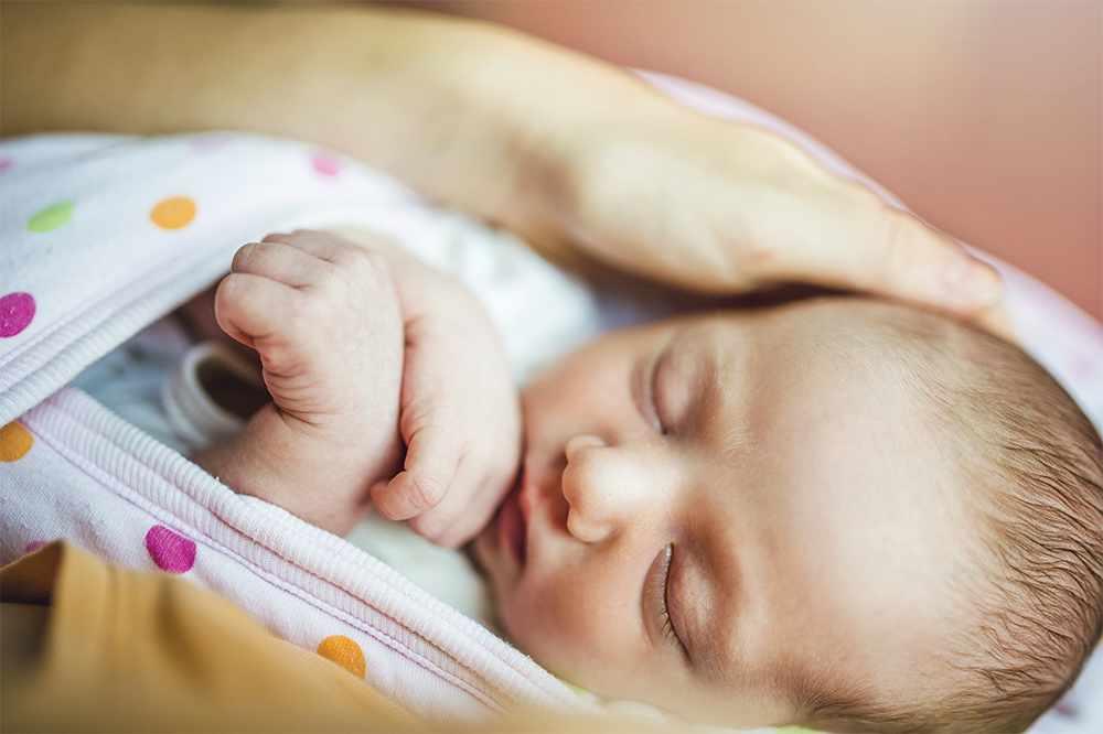 Perbedaan Qurban Dan Aqiqah Yang Wajib Kamu Tahu!